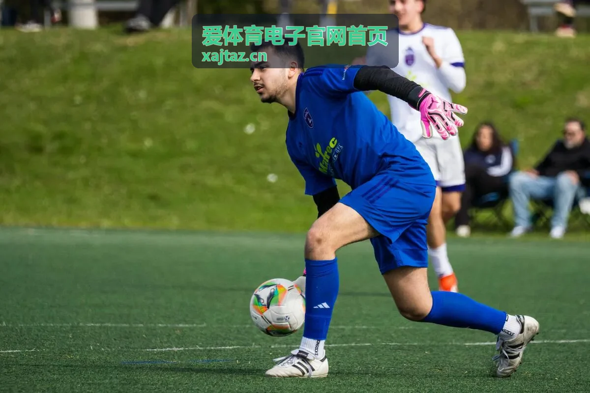 爱体育电子官网首页功能与参数说明预览界面